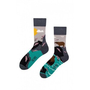 Ponožky pánske Medveď a Rybky viacfarebná - spox Sox 36-39 vícebarevná