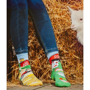 Ponožky spox Sox - Farma viacfarebné 36-39