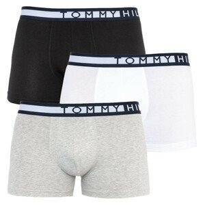 3PACK pánske boxerky Tommy Hilfiger viacfarebné (UM0UM01234 0SA) XL