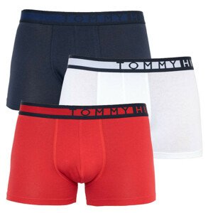3PACK pánske boxerky Tommy Hilfiger viacfarebné (UM0UM01234 0XY) XXL