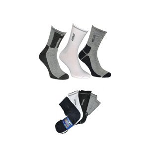 Pánske ponožky E&E Active Sport 0291 A'5 39-46 zmes farieb 39-42