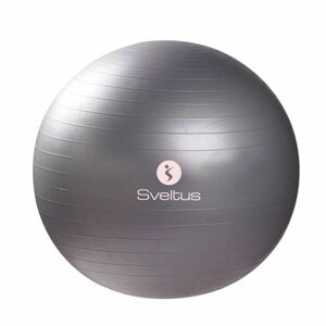 Cvičebné pomôcky Gymball 65 cm - grey polybag - Sveltus OSFA