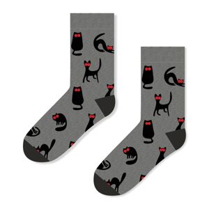 Ponožky HIPSTER 510/671 medvedíky čistotné 36/38