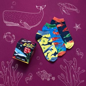Banana Socks Socks Set Under The Sea 42-46