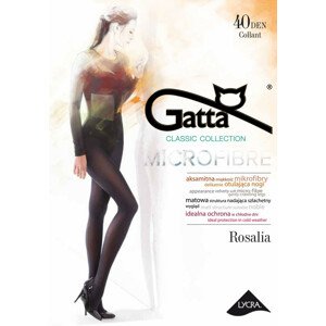 Dámske pančuchové nohavice 40 deň Rosalia - Gatta 4-L moka