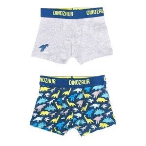 Yoclub Cotton Boys' Boxer Briefs Underwear 2-pack BMB-0007C-AA30-001 Multicolour 98-104