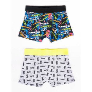 Yoclub Cotton Boys' Boxer Briefs Underwear 2-pack BMB-0007C-AA30-002 Multicolour 134-140