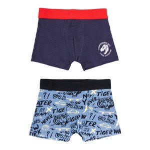 Yoclub Cotton Boys' Boxer Briefs Underwear 2-pack BMB-0009C-AA30-002 Multicolour 134-140