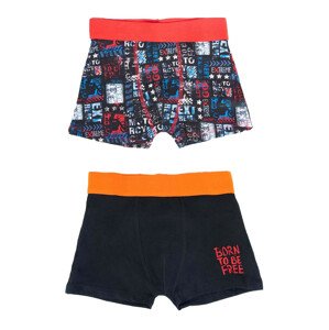 Yoclub Cotton Boys' Boxer Briefs Underwear 2-pack BMB-0010C-AA30-002 Multicolour 146-152