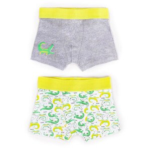 Yoclub Cotton Boys' Boxer Briefs Underwear 2-pack BMB-0011C-AA30-001 Multicolour 98-104