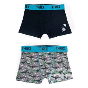 Yoclub Cotton Boys' Boxer Briefs Underwear 2-pack BMB-0011C-AA30-002 Multicolour 134-140