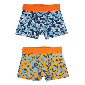 Yoclub Cotton Boys' Boxer Briefs Underwear 2-pack BMB-0012C-AA30-002 Multicolour 146-152