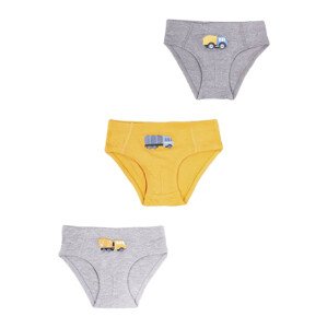 Yoclub Cotton Boys' Briefs Underwear 3-pack BMC-0027C-AA30-001 Multicolour 86-92