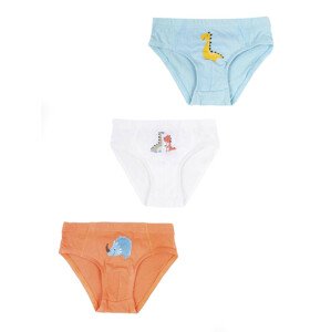 Yoclub Cotton Boys' Briefs Underwear 3-pack BMC-0028C-AA30-001 Multicolour 86-92