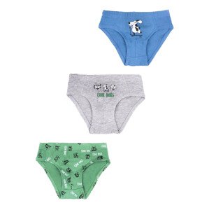 Yoclub Cotton Boys' Briefs Underwear 3-pack BMC-0029C-AA30-001 Multicolour 98-104