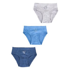 Yoclub Cotton Boys' Briefs Underwear 3-pack BMC-0029C-AA30-002 Multicolour 122-128
