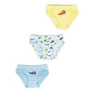 Yoclub Cotton Boys' Briefs Underwear 3-pack BMC-0030C-AA30-001 Multicolour 86-92