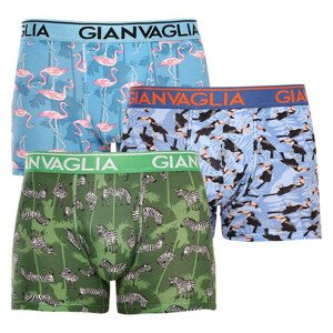 3PACK pánske boxerky Gianvaglia viacfarebné (GVG-5501) M