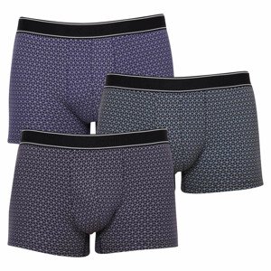 3PACK pánske boxerky Andrie viacfarebné (PS 5651) XL