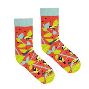 Kabak Ponožky Sikorki Multicolour 42-46