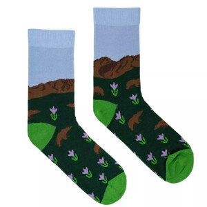 Kabak Ponožky Giewont Multicolour 36-41