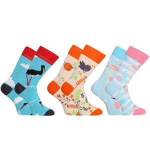 3PACK Veselé ponožky Dedoles (RS206154969) 35-38