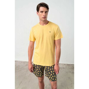 Vamp - Dvojdielne pánske pyžamo 18610 - Vamp yellow pollen M