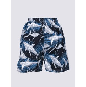 Chlapčenské plážové šortky Yoclub LKS-0046C-A100 Multicolour 140-146