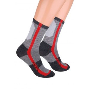 Pánské ponožky model 7459503 tmavý smíšený vzor 4446 - Steven