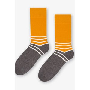 Pánské vzorované ponožky 079 HOŘČICE/DVĚ BARVY 39-42