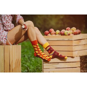 Ponožky Spox Sox Szarlotka Barva: Vícebarevné, Velikost: 44-46