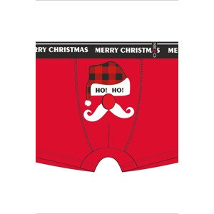 Pánské vánoční boxerky směs barev XL model 15922949 - Redo