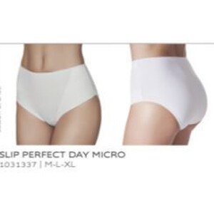 Kalhotky Slip Perfect Day Micro model 17166408  L černá - Janira