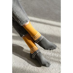 ponožky Mustard Více 35/38 model 18025978 - More