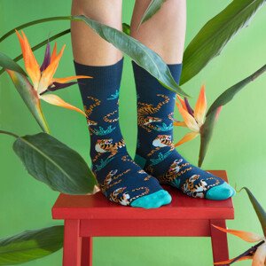 Ponožky Classic model 18084472 3641 - Banana Socks