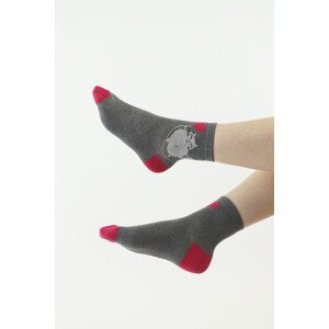 Dámské ponožky 113 šedé s model 18637900 - Moraj Barva: šedá, Velikost: 35/38
