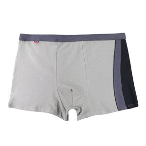 Pánské boxerky Plus Size 11 světle šedé s pruhem Barva: šedá, Velikost: 5XL