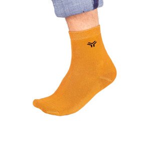 Chlapecké ponožky YO! SKF-012C Boy 27-38 směs barev 31-34
