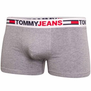Tommy Hilfiger Jeans Slipy UM0UM02401P4A Grey Velikost: L