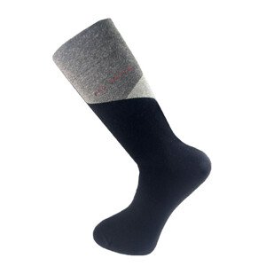 Pánske ponožky 15645 MIX MIX 41-44