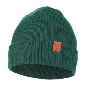 Dámská čepice  zelená model 19049484 - Moraj