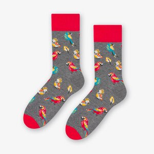 Ponožky s papagájmi 079-267 - Viac 43/46