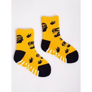 Detské ponožky Yoclub SKA-0020C-AA0A-002 Multicolour 17-19