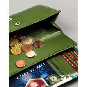 Dámske peňaženky [DH] PTN RD 08 GCL S zelená