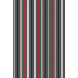Pánske nohavičky AV TRIM Stripes 232 Jar 2024 grafit XL