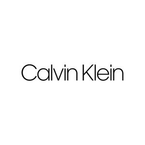 Pánske spodné prádlo S/S CREW NECK 2PK 000NB2221A100 - Calvin Klein L