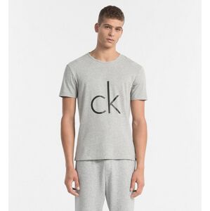 Calvin Klein Pánske Tričko S Logom Šedé S
