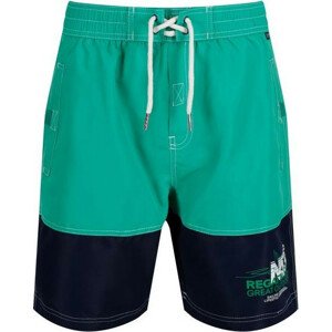 Športové plavky / šortky REGATTA RMM010 Bratchmar III Zelené zelená S