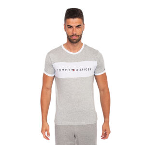Pánske tričko Tommy Hilfiger sivé (UM0UM01170 004) L