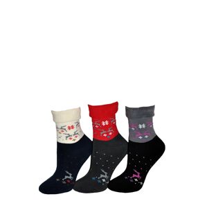 Dámske ponožky Winter 1320 froté - TAK čierna a šedá 35/37